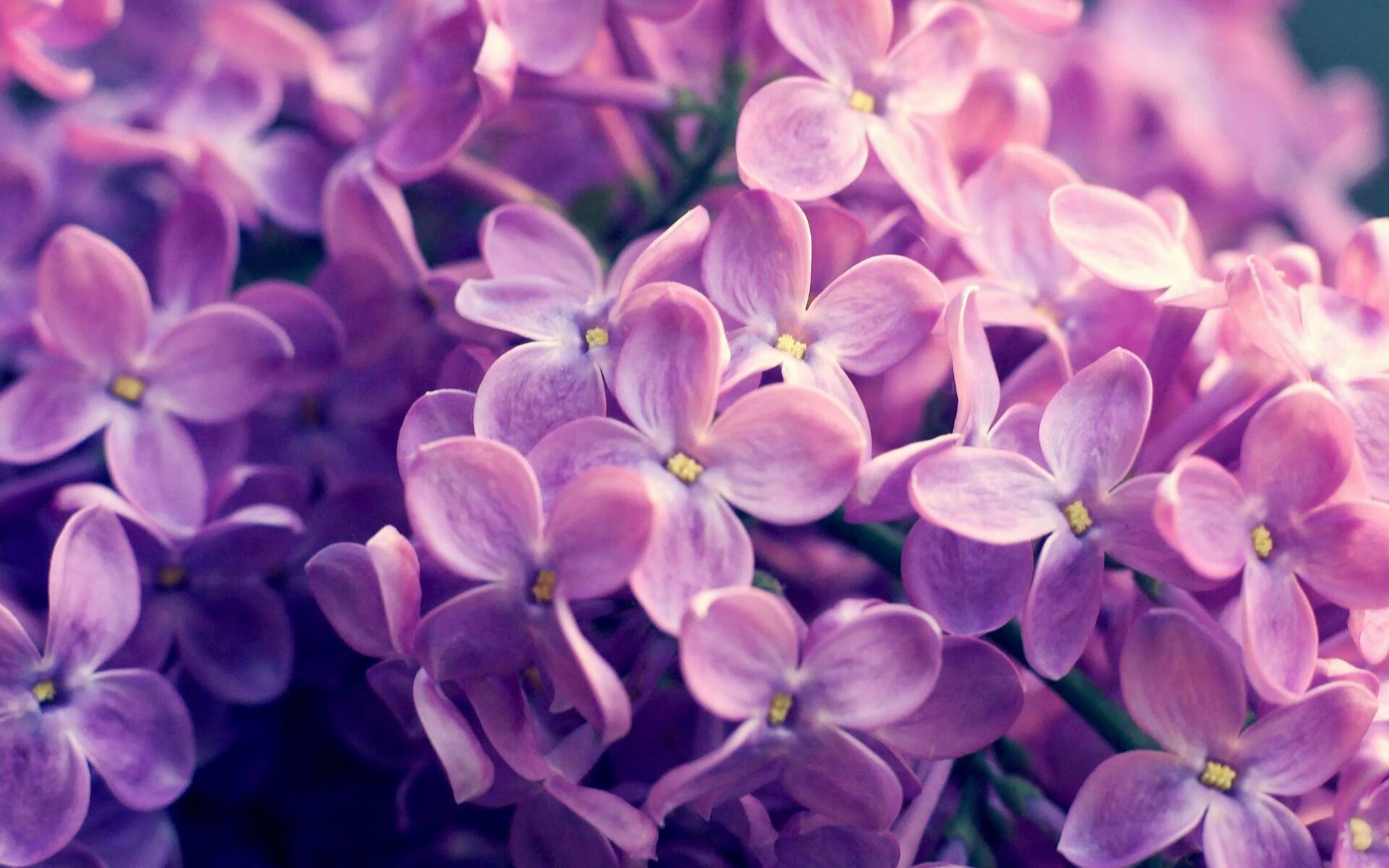 2012年东部半决赛：热火艰难击败老牌凯尔特人，詹姆斯在比赛中砍下45分，表现堪称传奇。