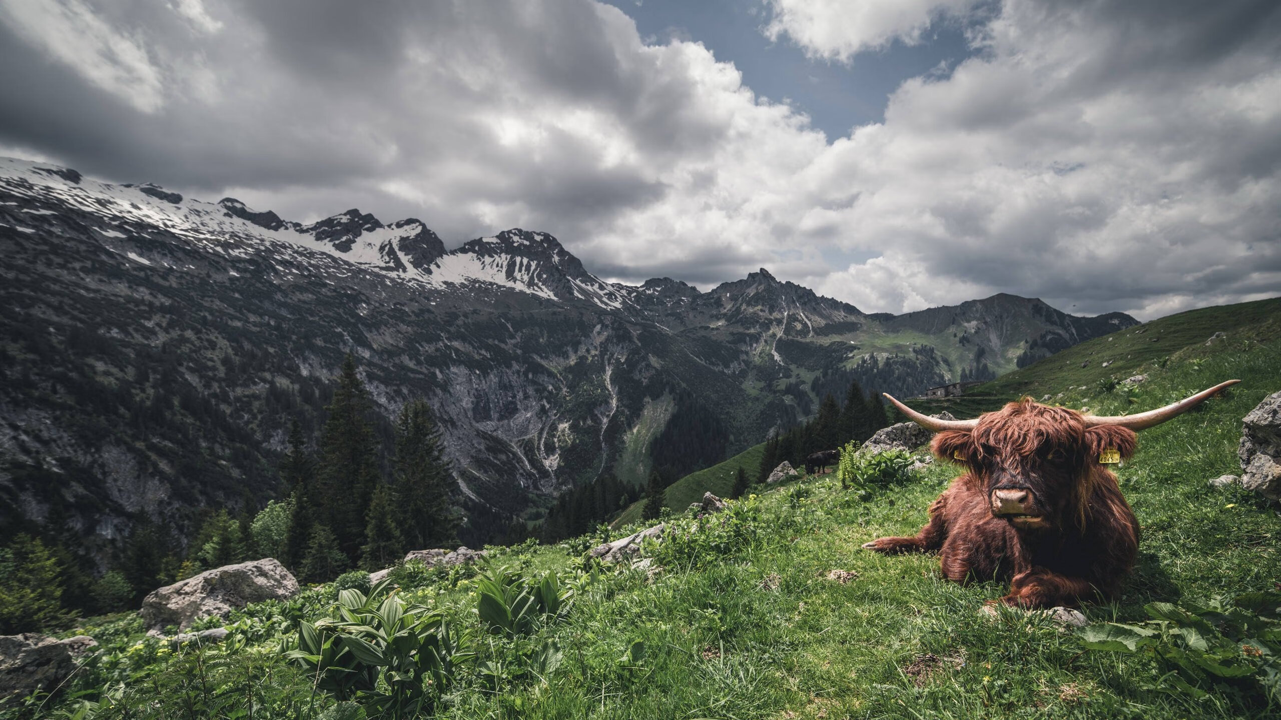 “未来学霸”青少年篮球智力培养计划在北京正式上线，推动青训智能升级