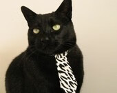 主场优势：主场气势与胜率分析，主场有优势吗