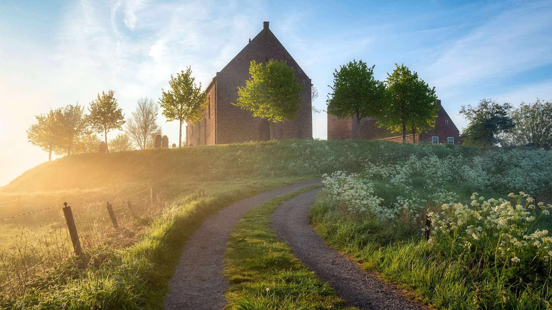 今年的季后赛悬念:哪支“黑马”最终能夺冠?,今年季后赛几月份开始