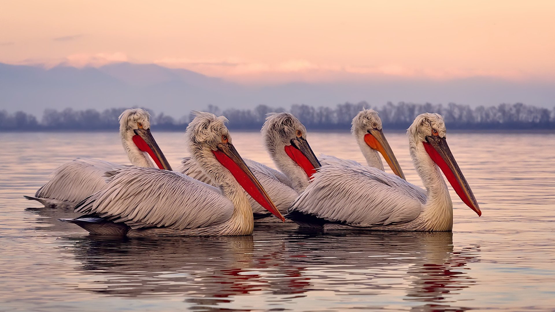 开云入口-互联网+青少年篮球赛事，激活体育消费新动能，青少年篮球联赛叫什么