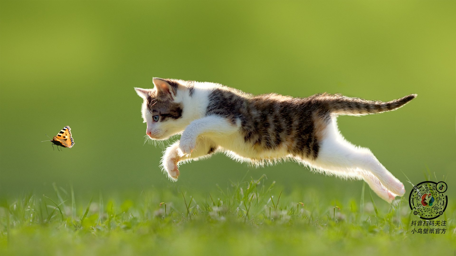 区块链在交易中的创新应用，让联盟交易更透明可信，区块链交易系统