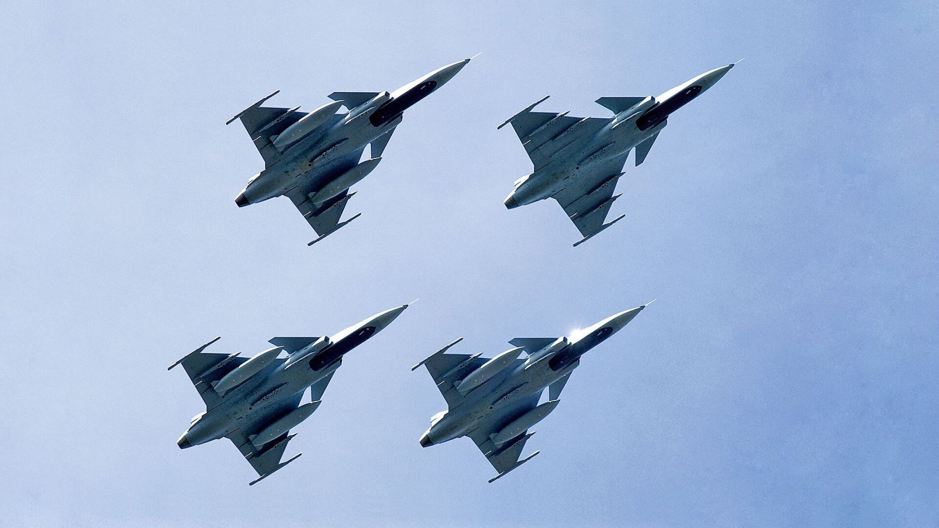 水陆两栖特技表演，极限运动的新视觉盛宴，水陆两栖动物大全