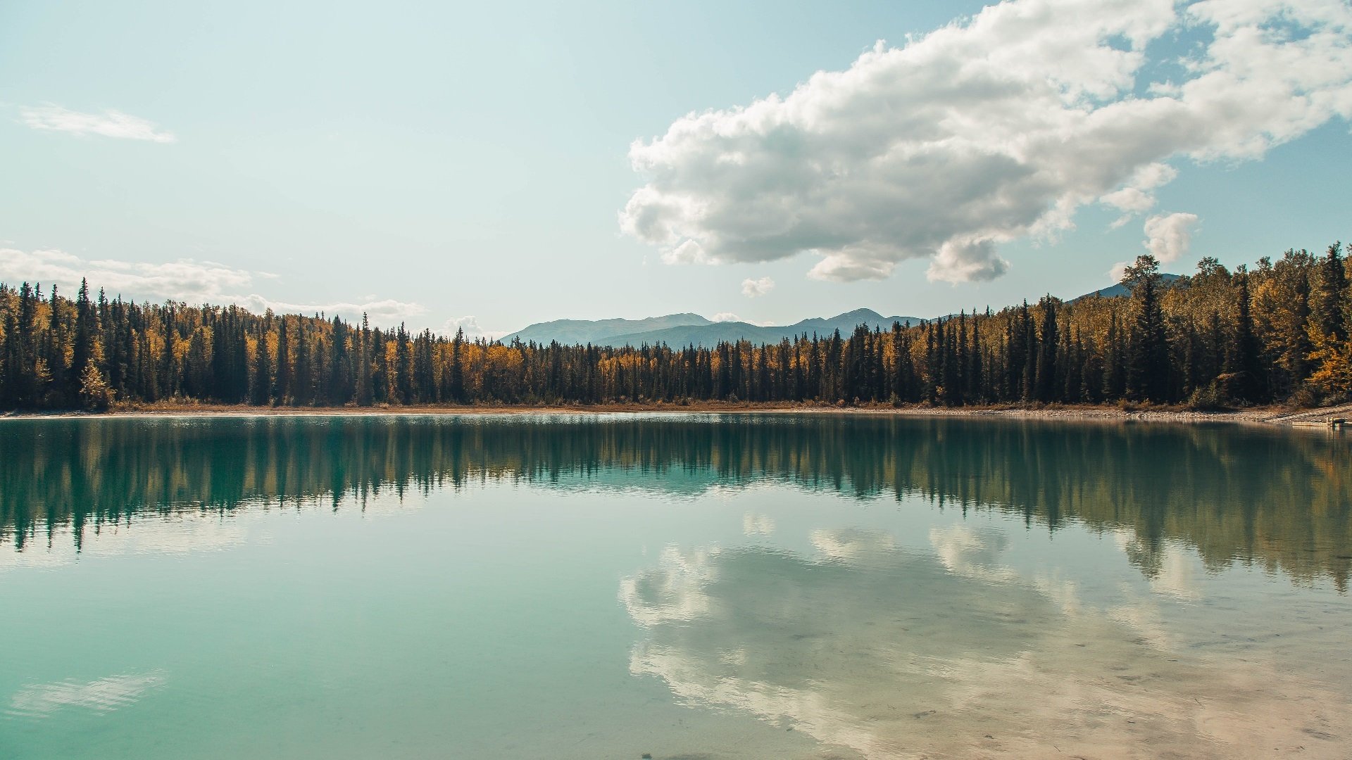河南建业客场逼平山东鲁能泰山队，妙不可延鲁能客场4_1河南建业新浪报道