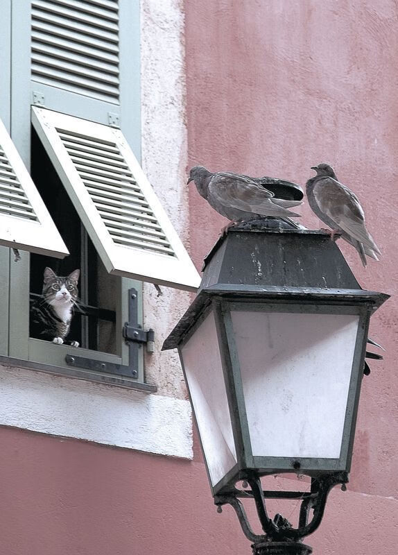 苏州东吴将在主场对阵贵州恒丰，谁将是比赛的赢家？，苏州东吴赛程