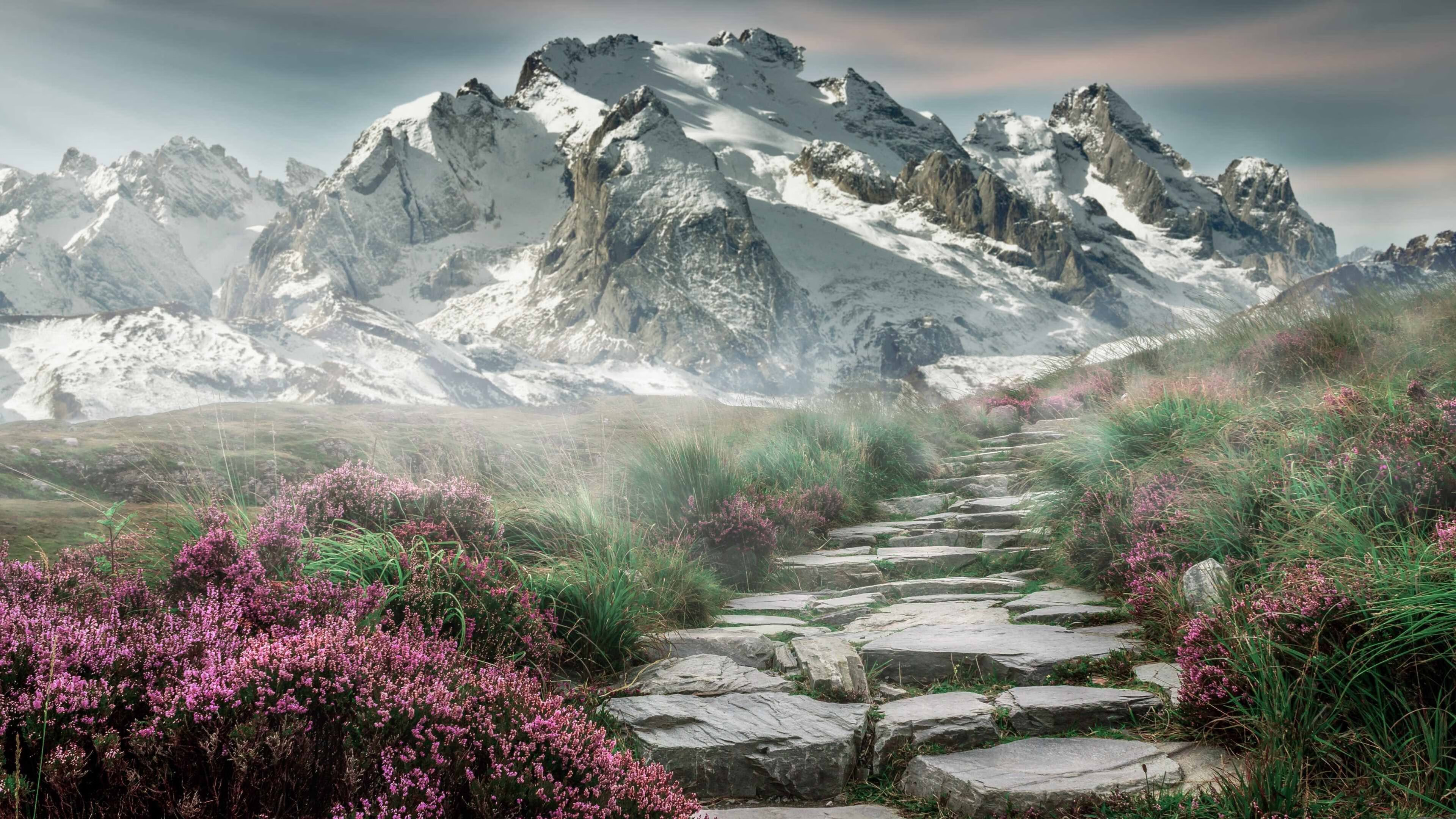 巴西马术协会与亚洲马术协会建立合作关系,推动区域发展。,巴西马亚拉大赛视频