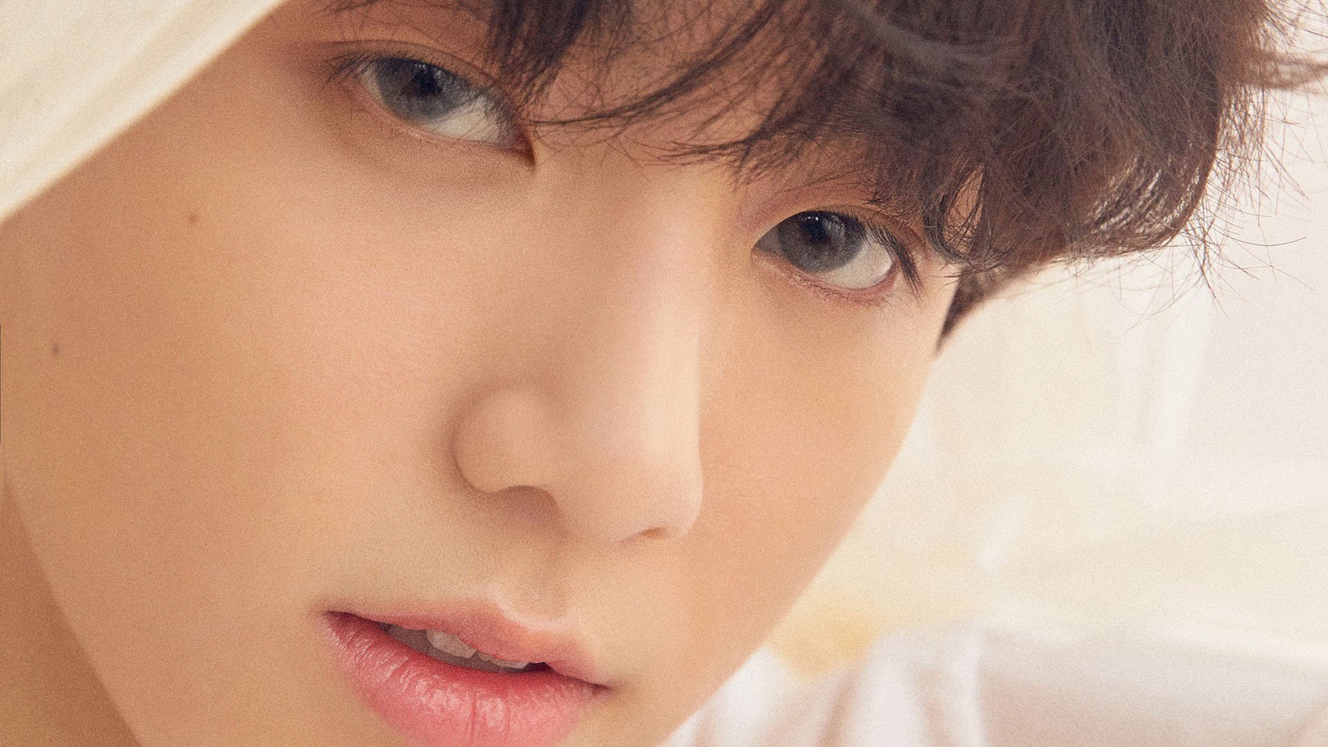 高校体育专业学生职业发展路径研究,体育类大学生职业生涯规划