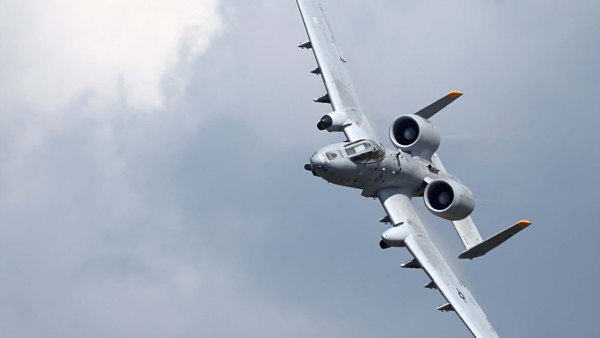 皇家社会团队协作提高控场效率，皇家社会队员名单