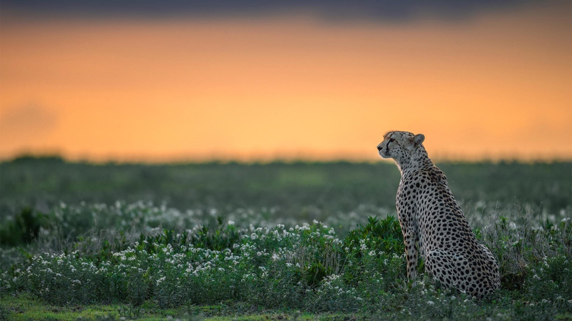 kaiyun登录入口-女子篮球青训注重身体素质与技能结合促进成长，女子篮球队训练内容