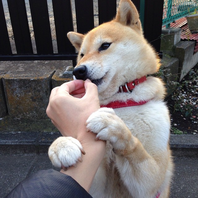 开云网页版-恩多比·恩乔：他的进攻视野帮助南非队在关键时刻掌控比赛节奏