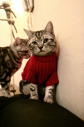 开云体育-意甲俱乐部财务透明新规，意甲俱乐部身价