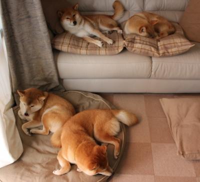 橄榄球运动迈向高质量发展阶段，橄榄球 运动